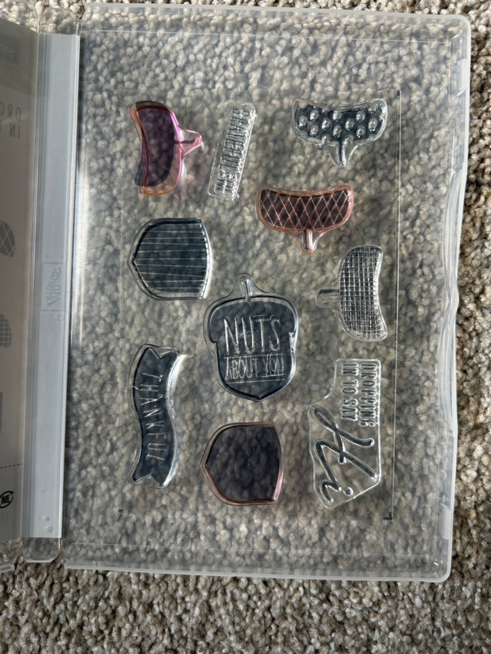 Stampin’ Up! Acorn Big Bundle - Picture 3 of 11